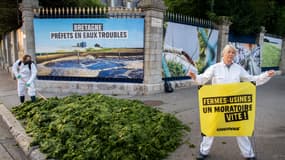 Des militants de Greenpeace ont déversé près d'une tonne d'algues vertes devant la préfecture du Finistère à Quimper pour pointer la responsabilité de l'État dans cette pollution, le 10 juillet 2023