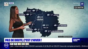 Météo Paris-Ile de France du 4 janvier: Les flocons sont au rendez-vous