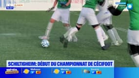 Schiltighem: début du championnat de cécifoot