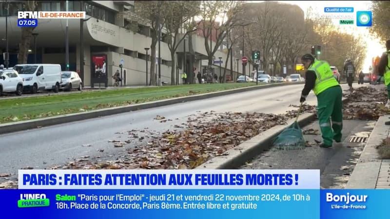 Paris: attention aux feuilles mortes sur la voie publique