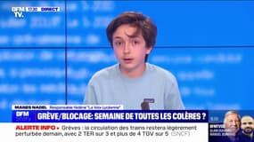 Manes Nadel (La Voix lycéenne): "Ce 49.3, ce passage en force du gouvernement, est en train de remobiliser le mouvement social"