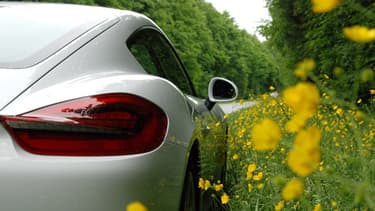 Des formes généreuses et du tempérament : il est difficile de choisir entre le coupé Cayman et le découvrable Boxster!