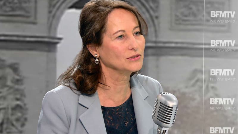 La ministre de l'Ecologie et de l'Energie, Ségolène Royal, sur le plateau de BFMTV-RMC le 20 novembre 2014.