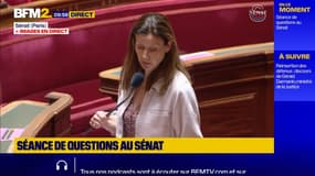 Combats de coqs : débats autour de "la notion de tradition ininterrompue"