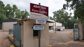 L'abattoir public multi-espèces de Porto-Vecchio, en Corse le 30 juillet 2025.