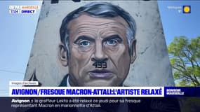 Fresque représentant Macron en marionnette d'Attali à Avingon: le graffeur Lekto relaxé