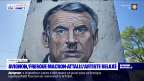 Fresque représentant Macron en marionnette d'Attali à Avingon: le graffeur Lekto relaxé