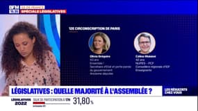 Législatives 2022: sept ministres sont candidats en Île-de-France