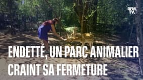 Dordogne: endetté, un parc animalier craint de devoir fermer et d'euthanasier ses animaux