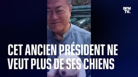 Corée du Sud : l'ex-président Moon ne veut plus des chiens offerts par Kim Jong Un