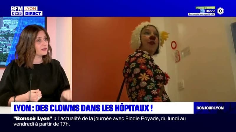 Rhône: des clowns dans les hôpitaux de Bron