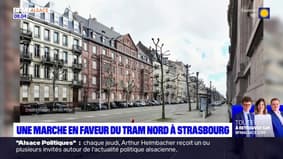 Bas-Rhin: une marche en faveur du tram nord à Strasbourg
