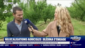 Impact: Relocalisations agricoles, Blédina s'engage, par Cyrielle Hariel - 29/06