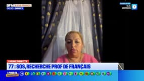 Le collège Simone Veil de Chelles recherche un professeur de Français de toute urgence