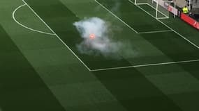 La pelouse du Groupama Stadium