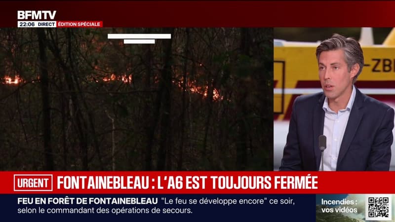 Incendie dans la forêt de Fontainebleau: deux personnes interpellées pour "des mises à feu volontaires ou accidentelles", a annoncé Laurent Nuñez, ministre de l'Intérieur