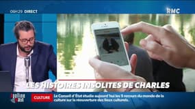 Que faut-il mettre dans votre description pour mettre toutes vos chances de votre coté sur les sites de rencontres ?
