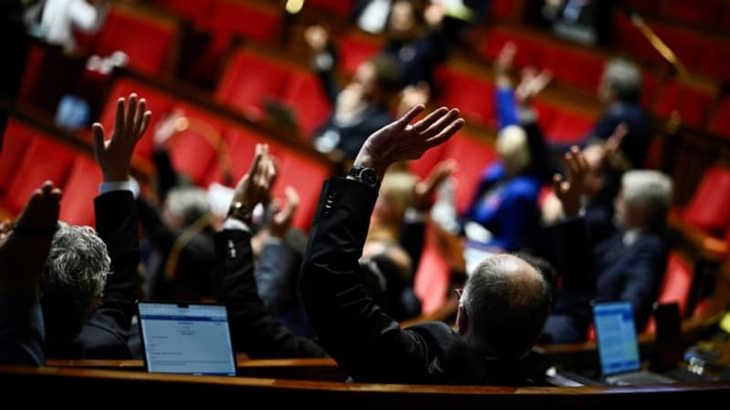 Budget 2025: l'Assemblée nationale adopte une nouvelle salve de taxes contre l'avis du gouvernement