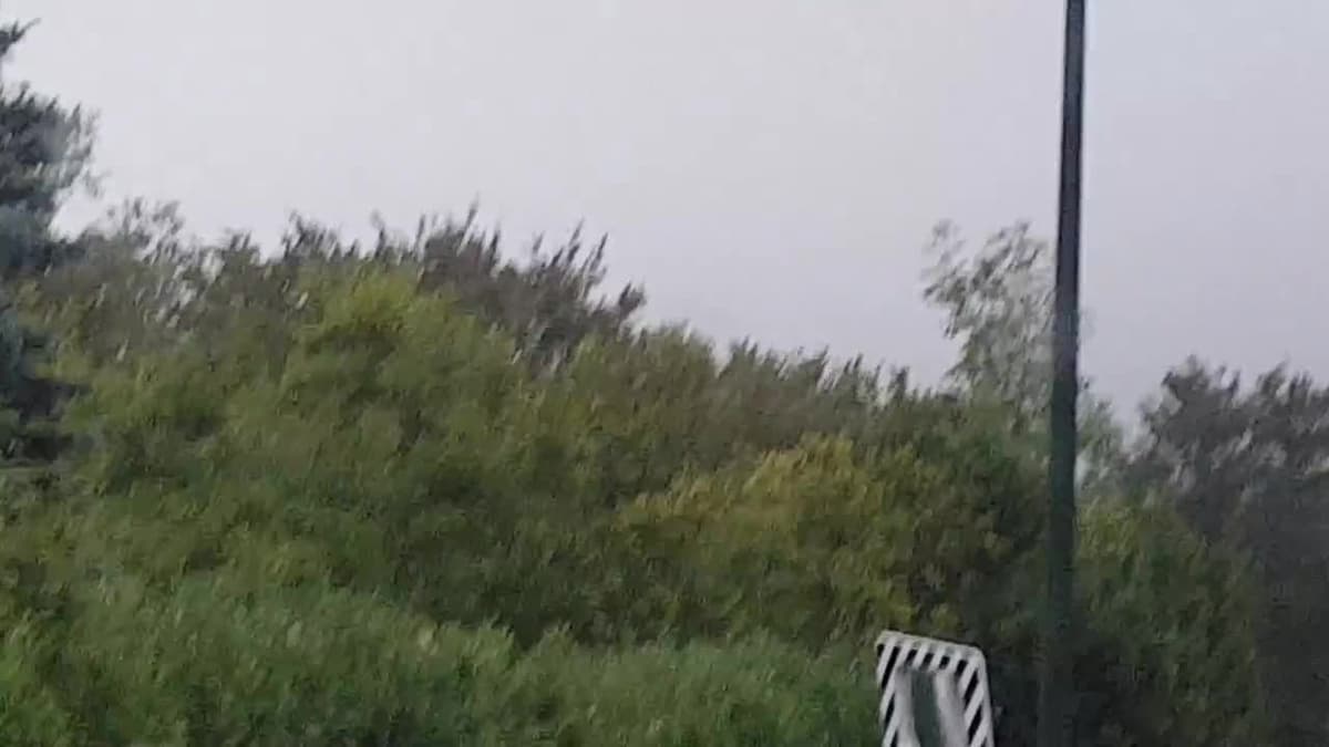 placeholder video