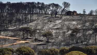 L'incendie a ravagé les alentours de Générac