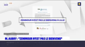 Présidentielle: pour Martine Aubry, "Éric Zemmour n'est pas le bienvenu à Lille"