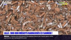 Lille: 900.000 mégots ramassés pour le World Clean Up Day