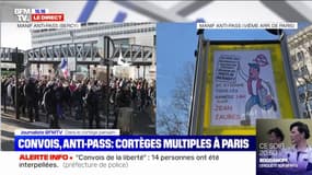 Des membres du "convoi de la liberté" ont rejoint le cortège organisé par Florian Philippot 