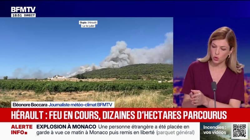 Incendies: plusieurs dizaines d'hectares ont brulé dans l'Hérault, des feux en cours