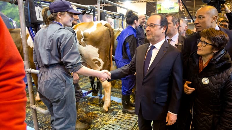 François Hollande au Salon de l'agriculture. 