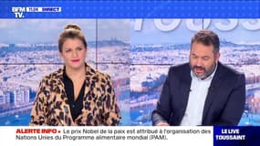 Sophie Pétronin en France à la mi-journée - 09/10