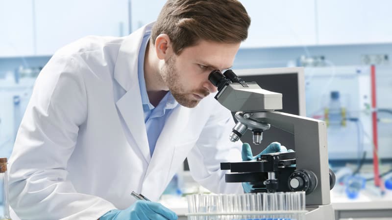 Des scientifiques ont conçu par hasard une enzyme capable de contribuer à la destruction du plastique. 