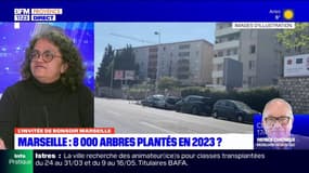 Plan arbre à Marseille: l'avis des citoyens sera demandé pour le programme de plantation