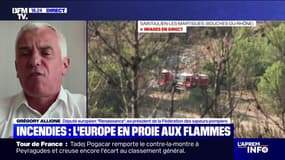 Vagues d'incendies: "Il faut des moyens massifs (...) et coordonnés" en Europe, estime Grégory Allione (Renaissance) 