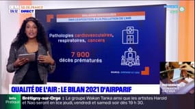 Ile-de-France: la pollution de l'air diminue mais reste trop présente le long des grands axes