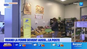 Orne: quand la ferme du Plessis-Grohan devient aussi La Poste