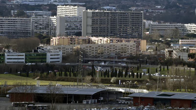 La découverte a eu lieu dans le quartier du Mirail à Toulouse.