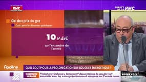 L’info éco/conso du jour d’Emmanuel Lechypre : Quel coût pour la prolongation du bouclier énergétique ? -13/04