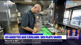 Passions Provence du samedi 2 septembre 2023 - Les Akolytes aux Catalans, des plats variés 