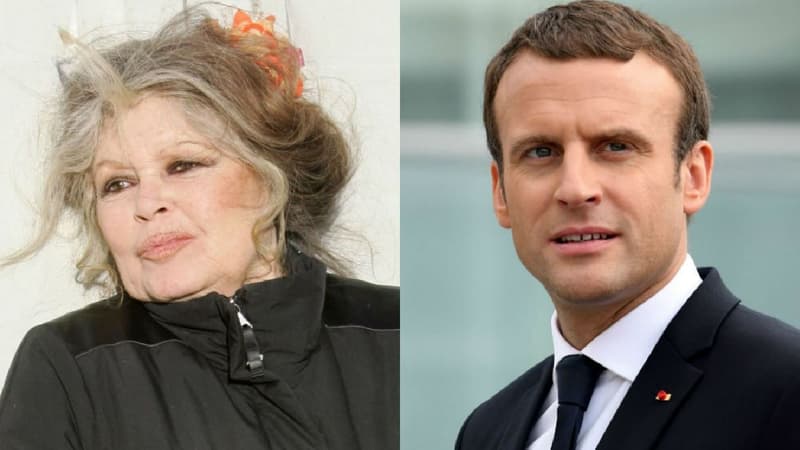 Brigitte Bardot / Emmanuel Macron