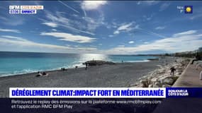 Réchauffement climatique: impact fort en Méditerranée