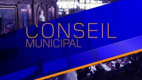 Conseil municipal de Lyon des 25 et 26-03-21 en LSF