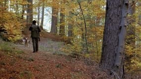 La jeune fille, qui voulait tirer sur l'animal, aurait trébuché (photo d'illustration).