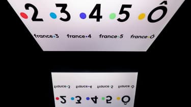La fermeture des deux chaînes à l'horizon 2020 avait été annoncée en juin 2018 par la ministre de la Culture de l'époque, Françoise Nyssen