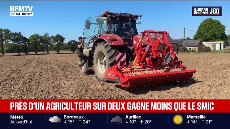 Malgré des semaines allant jusqu'à 80 heures de travail, un agriculteur sur deux gagne moins que le Smic