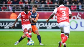 Reims/ Montpellier