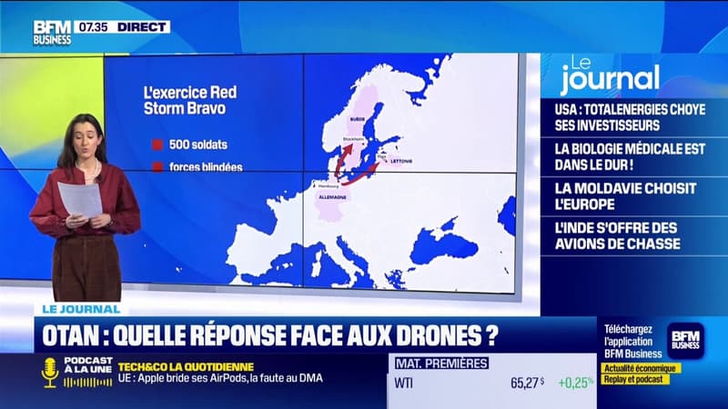 Quelle réponse de l'OTAN face aux drones ?