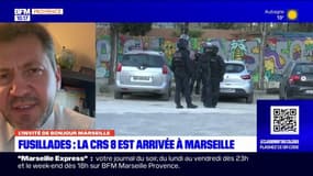 Fusillades à Marseille: la CRS 8, "une arme de com"