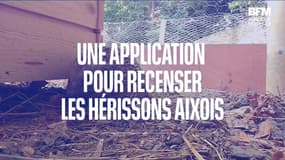 Aix-en-Provence: une application pour recenser les hérissons