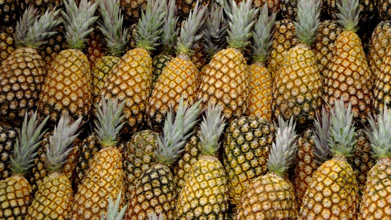 Le cuir d'ananas, une nouvelle matière innovante 