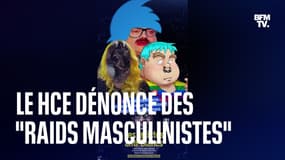 Le Haut Conseil à l'Égalité dénonce "un phénomène de backlash" et "raids masculinistes sur les réseaux sociaux" qui influencent les jeunes générations